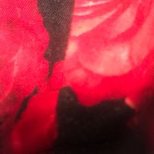 Meet your Posher, Yanithi